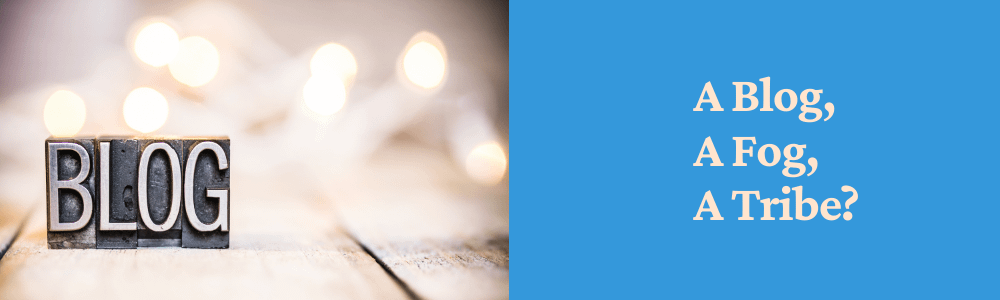 blog in lights