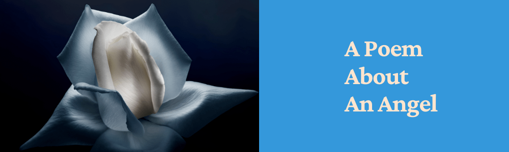 white flower opening