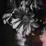 black and white flower