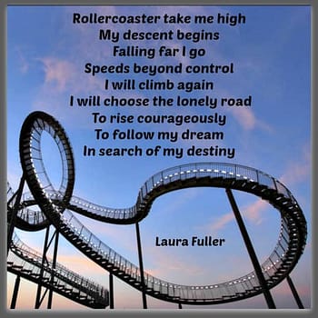 Life and a rollercoaster