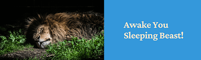 sleeping lion