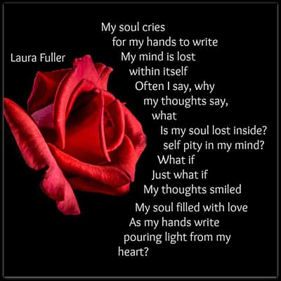 red rose on black background