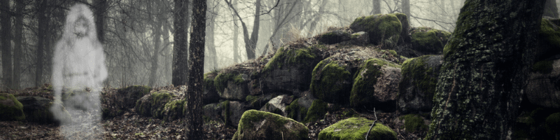 a ghost in the woods